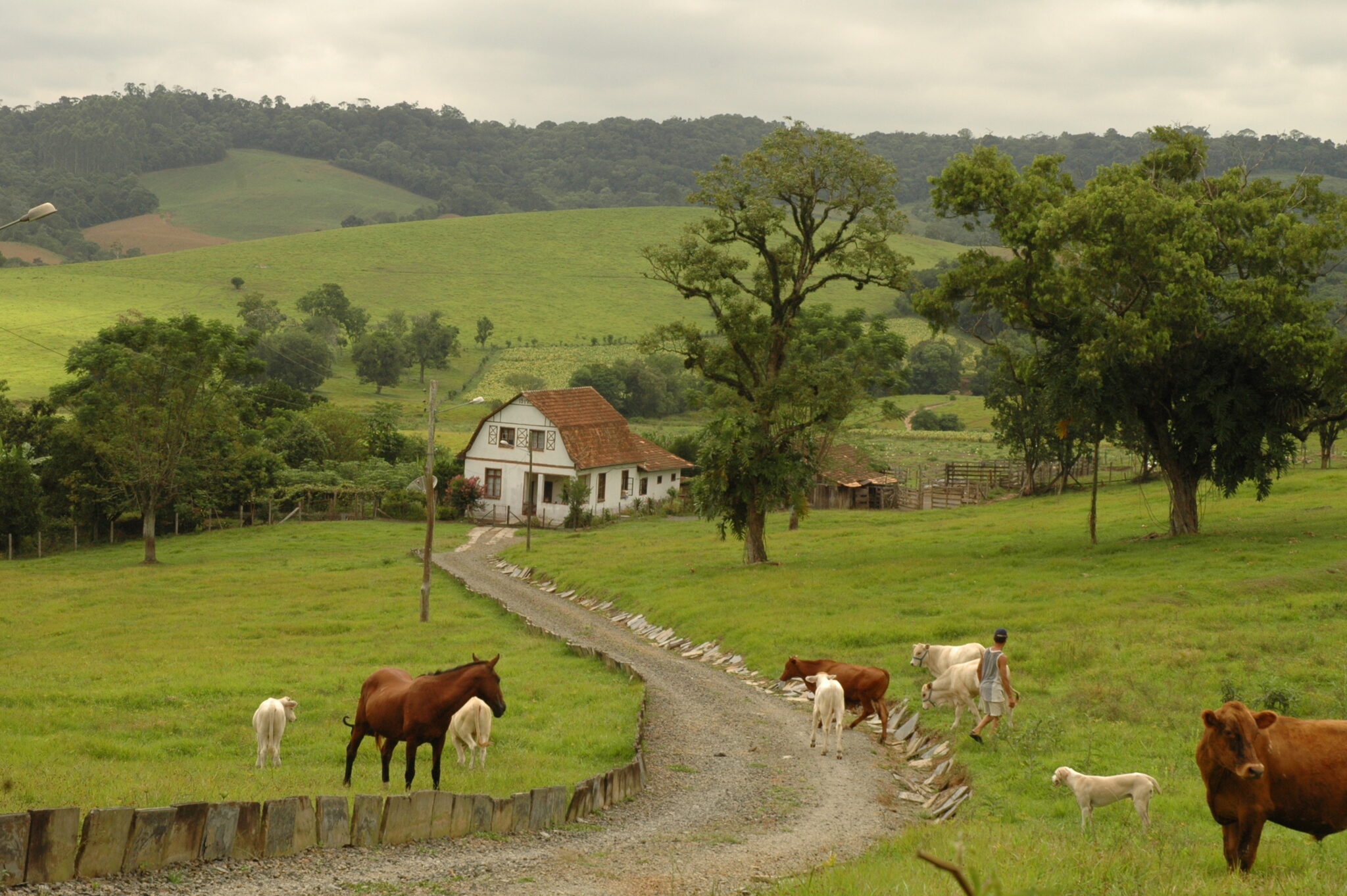 Módulo rural o que é e para que serve Adenilson Giovanini