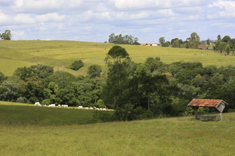 ato declaratório ambiental