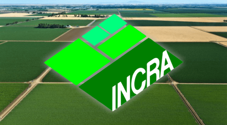 análise dos dados pelo INCRA