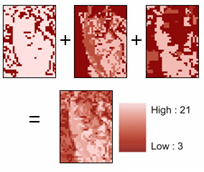 modelagem de adequação