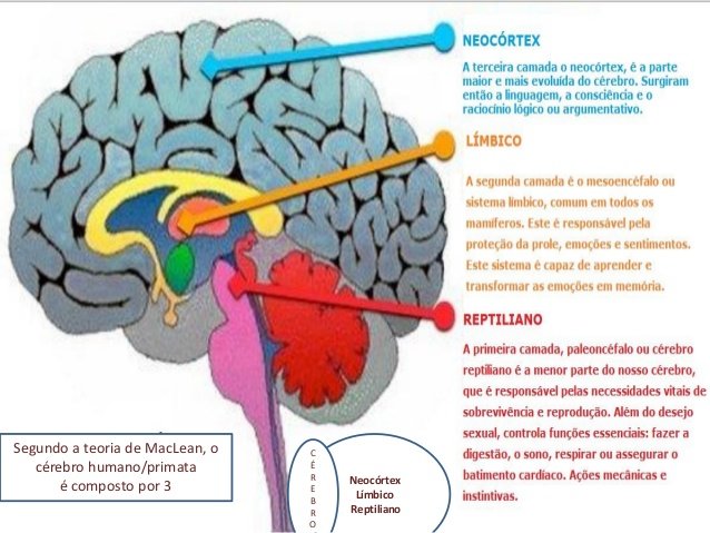 cérebro reptiliano - neuromarketing