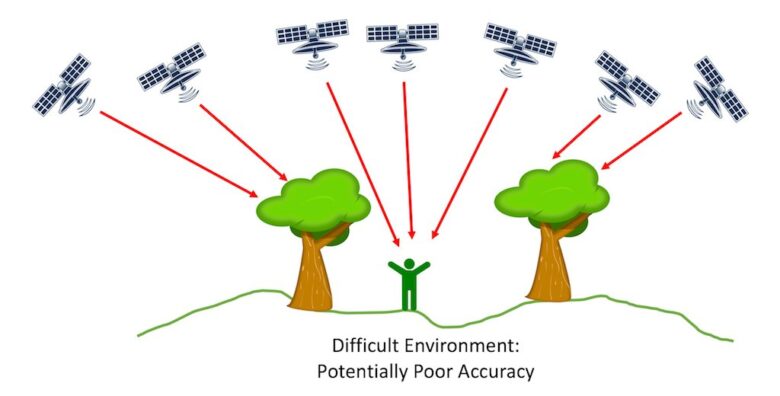 DOP árvores interferindo