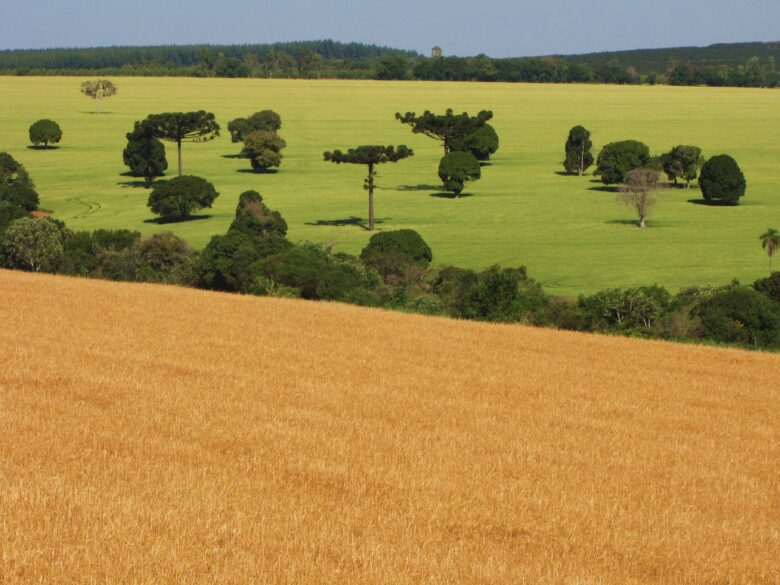Desmembramento de imóvel em cartório - entendendo o que são módulos rurais e módulos fiscais