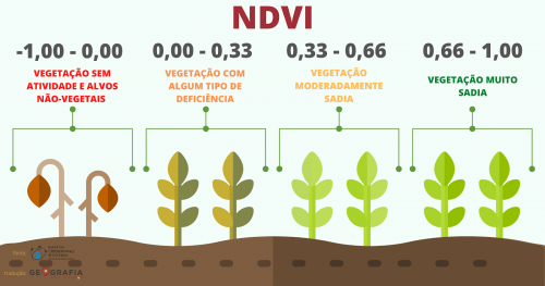 índices de vegetação