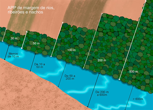 Área de preservação permanente - Você sabia disso