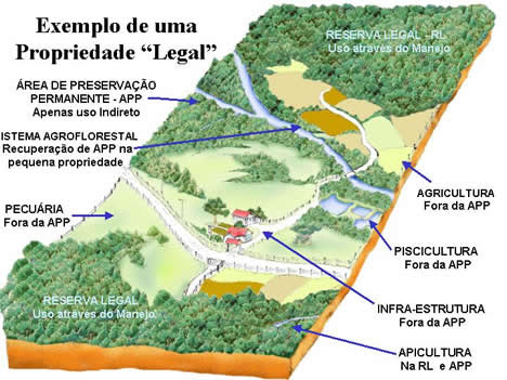 O que é uma Área de Preservação Permanente - ((o))eco