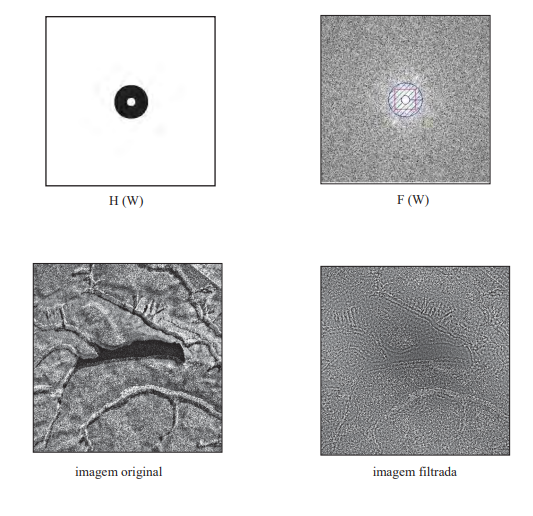 Transformada Fourier Discreta com uso do filtro banda-passante circular externo