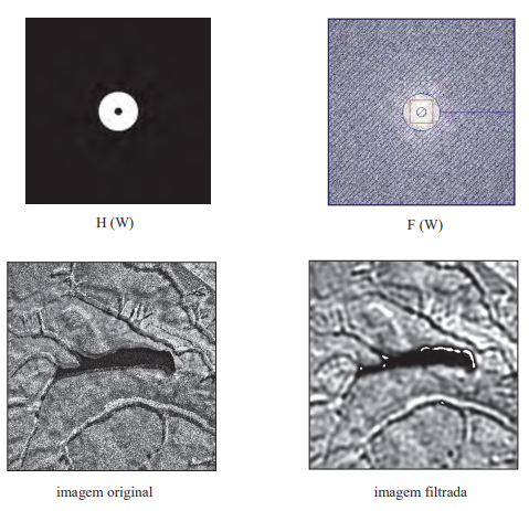 Transformada Fourier Discreta com uso do filtro banda-passante circular interno