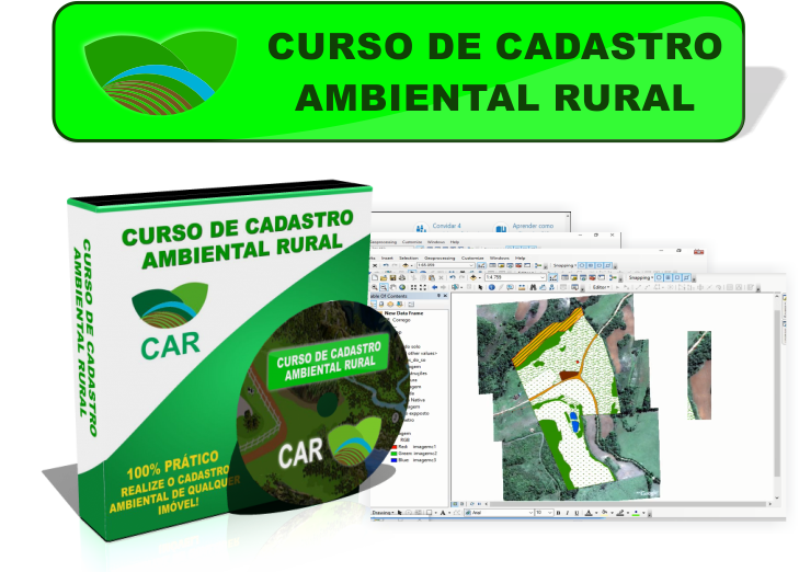 curso de car